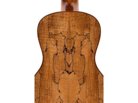 CONCERT Flame Maple ESTUCHE - Image 2