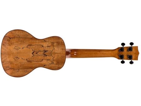 CONCERT Flame Maple ESTUCHE - Image 4