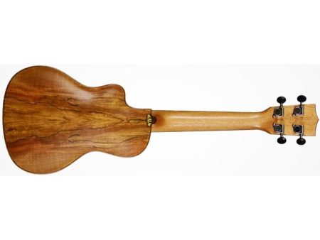 CONCERT Spalted Maple Viaje Cutaway EQ FUNDA - Image 2