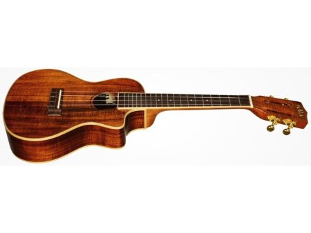 CONCERT Hawaiian Koa Cutaway EQ - Image 4