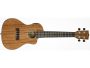 CONCERT Tapa&Fondo Solida Caoba Cutaway ESTUCHE
