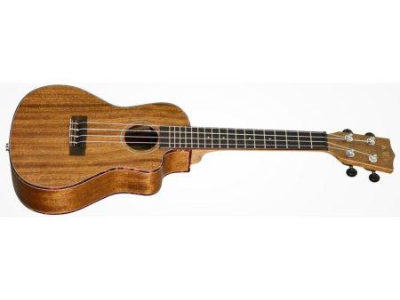 CONCERT Tapa&Fondo Solida Caoba Cutaway ESTUCHE - Image 3