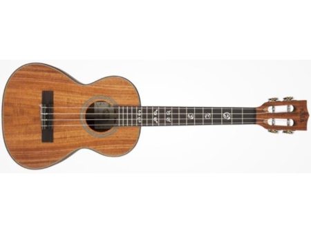 TENOR Tapa&Fondo Acacia