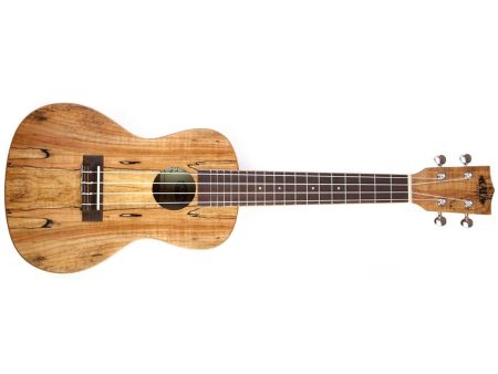 CONCERT Spalted Maple FUNDA