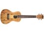 CONCERT Spalted Maple FUNDA