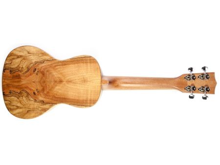CONCERT Spalted Maple FUNDA - Image 3