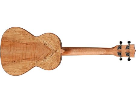 TENOR Spalted Maple FUNDA - Image 2
