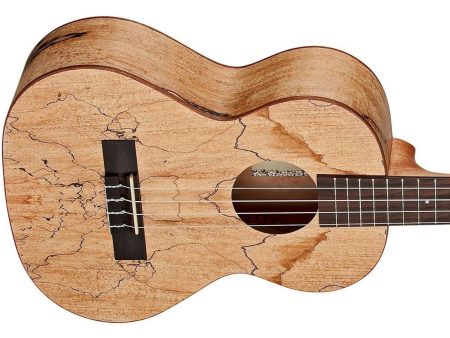TENOR Spalted Maple FUNDA - Image 3