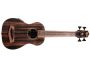 UBASS Striped Ebony Fretless BAG