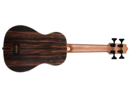 UBASS Striped Ebony Fretless BAG - Image 2