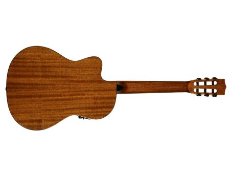 THINLINE Spruce Top Mahogany B/S Ny - Image 3