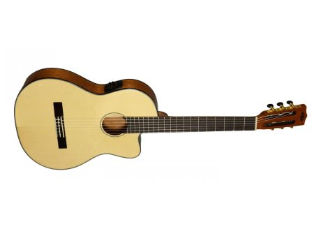 THINLINE Spruce Top Mahogany B/S Ny - Image 4