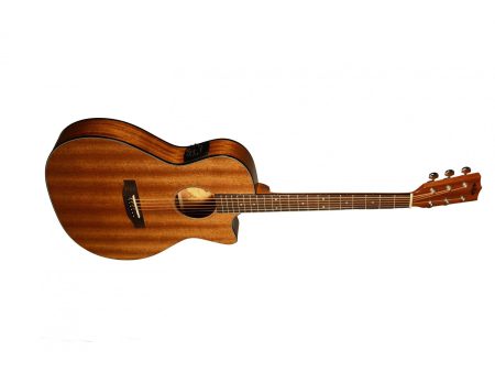 THINLINE Mahogany Guitar. Steel - Image 4