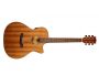 THINLINE Mahogany Guitar. Steel w/Case