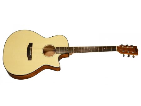 THINLINE Spruce Top Mahogany B/S St - Image 2