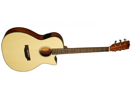 THINLINE Spruce Top Mahogany B/S St - Image 4