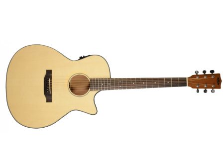 THINLINE Spruce Top Mahogany Steel w/Case