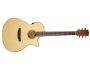 THINLINE Spruce Top Mahogany Steel w/Case
