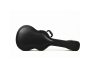 Hardcase Parlor Guita. Archtop