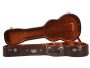 Alligator CASE TENOR. Archtop
