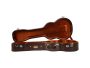Alligator CASE BARITONE. Archtop