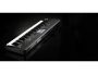 Krome 61EX