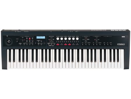 PS60