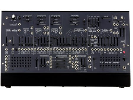 Sintetizador SEMI-MODULAR (Modulo)c/ESTUCHE,Cables