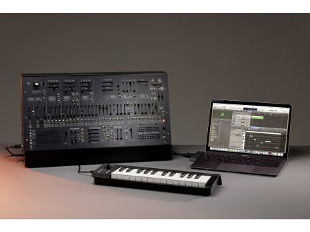 Sintetizador SEMI-MODULAR (Modulo)c/ESTUCHE,Cables - Image 3