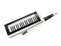 Keytar RK-100S