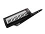 Keytar RK-100S
