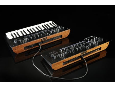 MINILOGUE-XD-M - Image 4