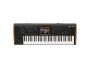 Workstation sampler 61 teclas