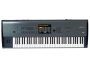 Workstation Sampler 73 teclas