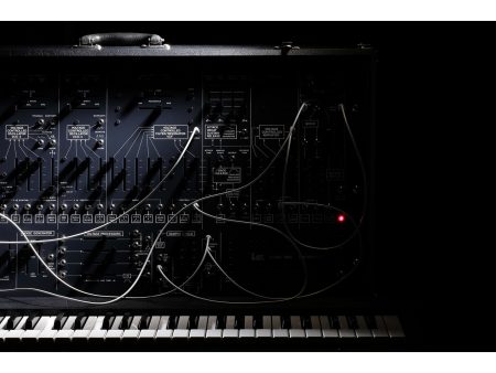 Sintetizador Semi-modular - Image 3