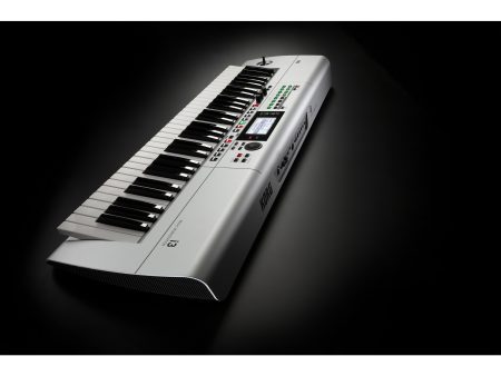 Workstation 61 teclas 790 Sonidos 270 Styles Seq MP3 - Image 6