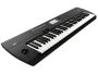 Workstation 61 teclas 790 Sonidos 270 Styles Seq MP3