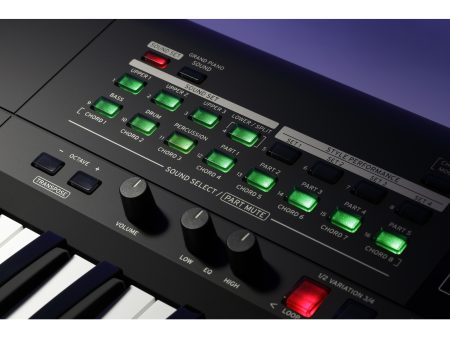 Workstation 61 teclas 790 Sonidos 270 Styles Seq MP3 - Image 4