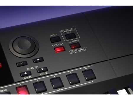 Workstation 61 teclas 790 Sonidos 270 Styles Seq MP3 - Image 8