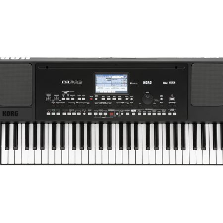 Arranger 61 Teclas Tecnologia RX Pantalla Tactil