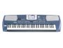 Arranger 61 teclas, RX Technology