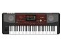 Arranger 61 Teclas Tecnologia RX Pantalla Tactil HDMI