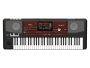 Arranger 61 Teclas Tecnologia RX Pantalla Tactil