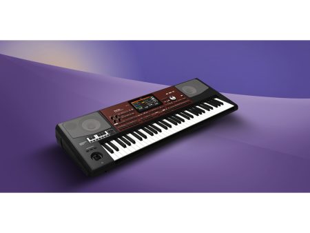 Arranger 61 Teclas Tecnologia RX Pantalla Tactil - Image 4