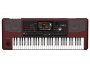 Arranger 61 Teclas Tecnologia RX Pantalla Tactil HDMI