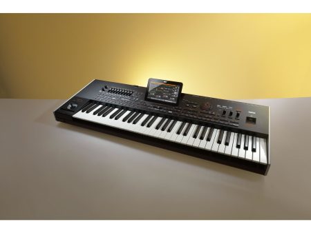 Arranger Profesional Para Musica Oriental - Image 3