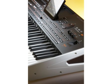 Arranger Profesional Para Musica Oriental - Image 4