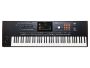 Arranger Profesional SAMPLER PADS 76 teclas