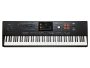 Arranger Profesional SAMPLER PADS 88 teclas
