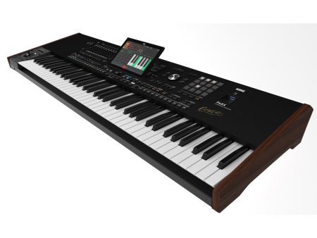 Arranger Profesional SAMPLER PADS 61 teclas ORIENTAL - Image 2